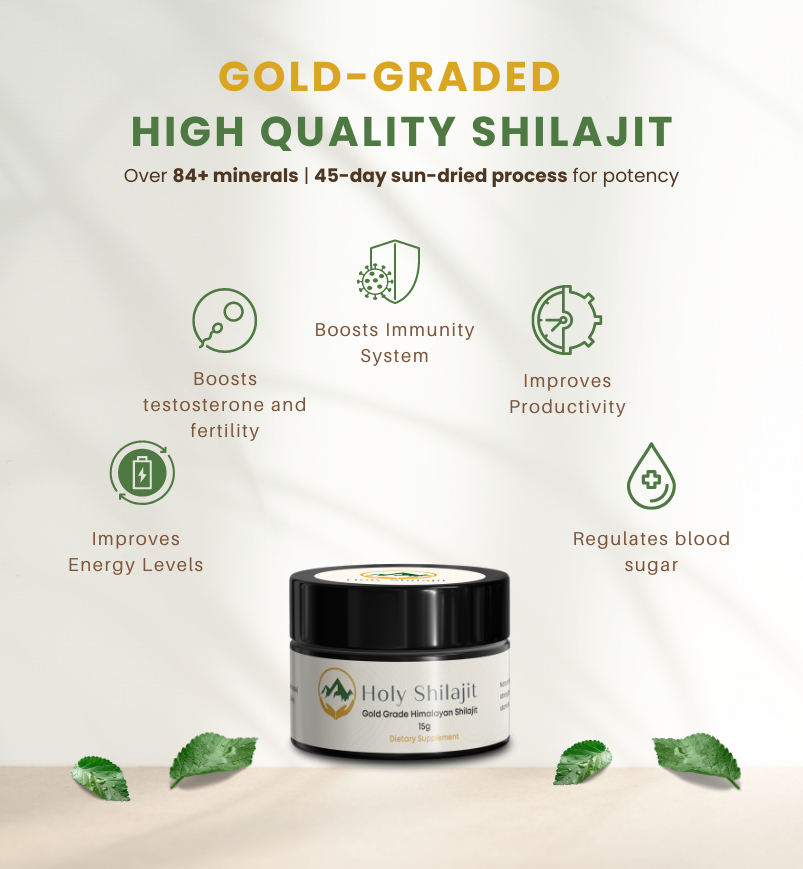 Holy Shilajit Resin: Natural Support for Mind and Energy