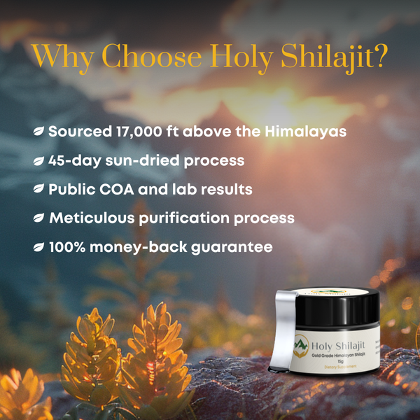Holy Shilajit: Silver Package Three Jar Value Offer