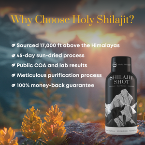Shilajit Shots: 60x Energy Shots Packed with Pure Shilajit and Fulvic Minerals